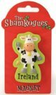 Shamrogues Cow Magnet